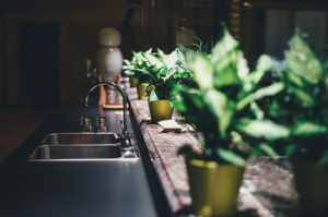 A clean and sparkling kitchen sink with plants on the windowsill