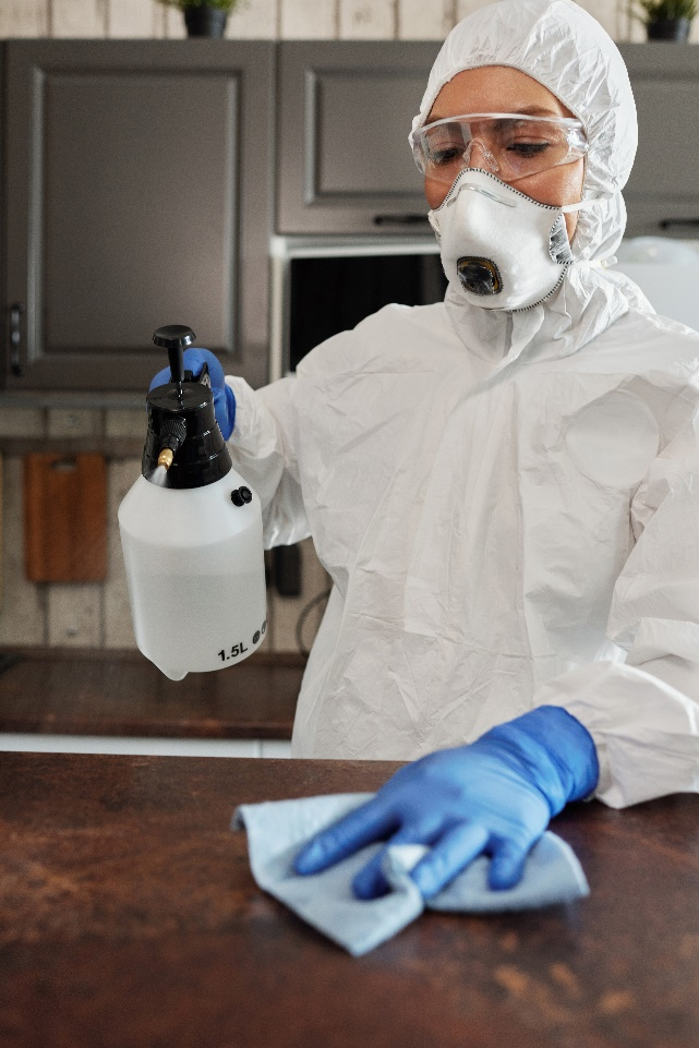 sanitizing